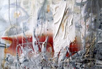 Большая аргентинская раковина