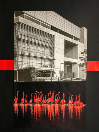 	Розовое в черном и сером