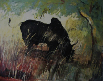 Пасущийся зебу