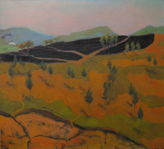 Мадагаскарский пейзаж с выгоревшим полем