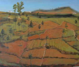 Мадагаскарский пейзаж