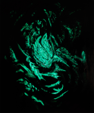 Ночные загадки #1