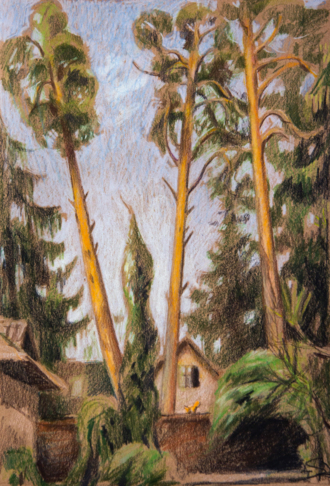 Старая дача в пасмурный летний день.  (Белка.)