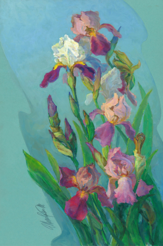 Дыхание весны