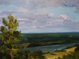 Сосна