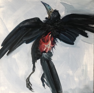 Мертвая ворона