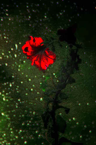 Возрождение