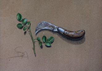 Старый садовый нож.