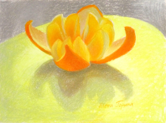 Изучение апельсина 3