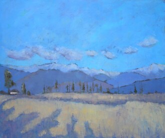 Тени на скошенном поле