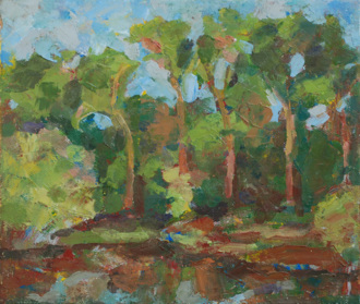 Вечер. Джамгаровские пруды