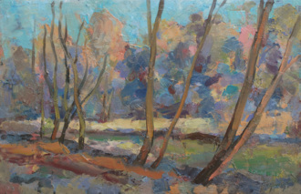 На Яузе в Медведково. 9 ноября 2020 г.