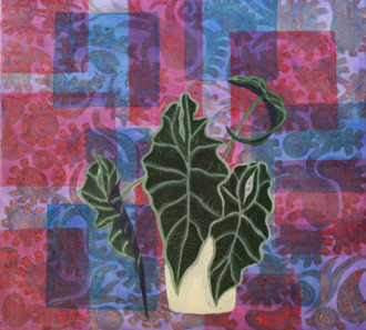 аллоказия полли