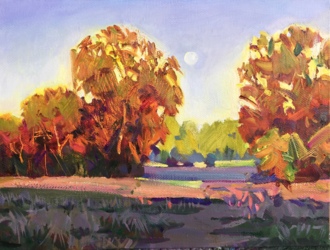 Вечернее солнце