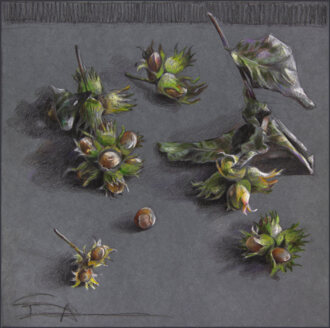 Лесные орехи.