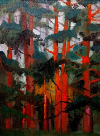 Сосны на закате