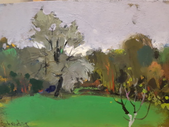 Зеленая поляна