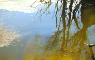 Отражение 1