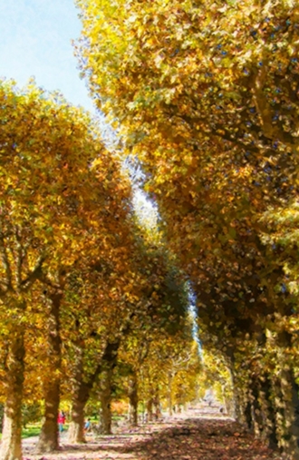 Аллея (Парки Парижа)