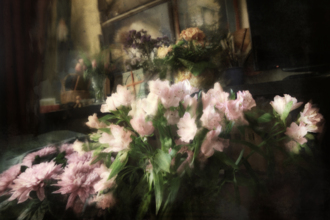 Хризантема и альстромерия