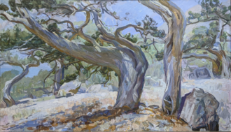 Новосветский заказник