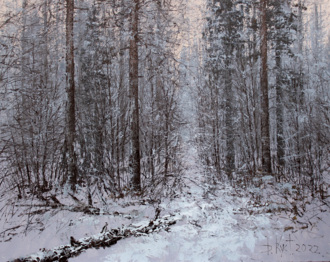 В тихом зимнем лесу