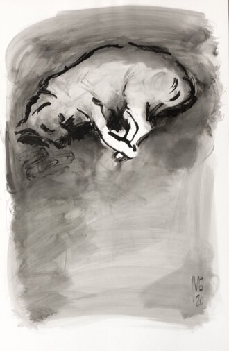 Портрет Собаки