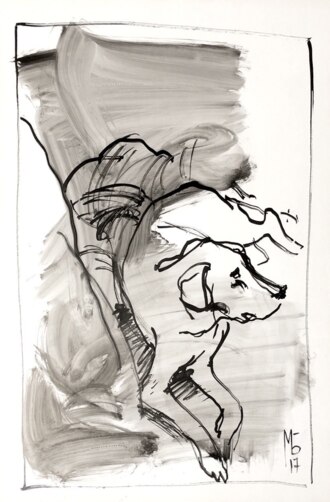 Портрет Собаки