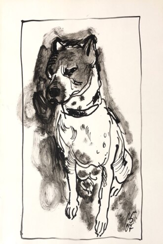 Портрет Собаки