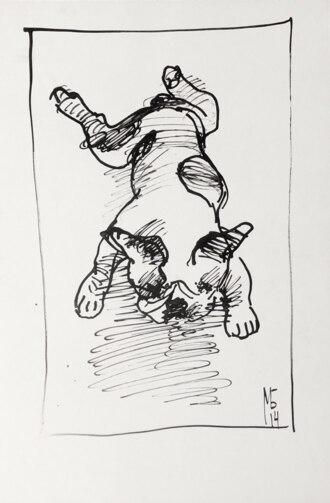 Портрет Собаки