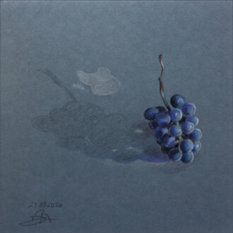 Гроздь винограда и надкусанное яблоко.