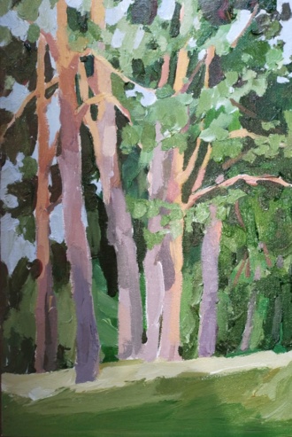 Сосны в Большой Ижоре