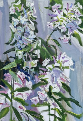 Этюд с флоксами