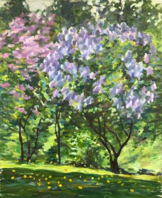 В зарослях сирени