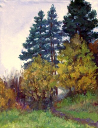 Ёлки на пригорке