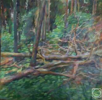 Сосновый бурелом