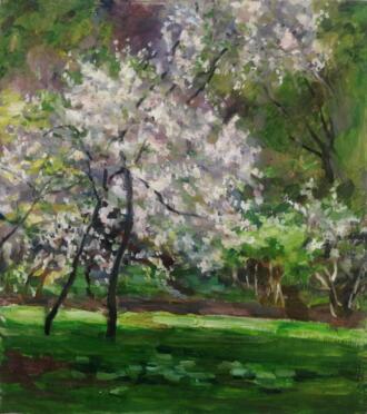 Цветущая вишня