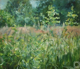 Луговые травы