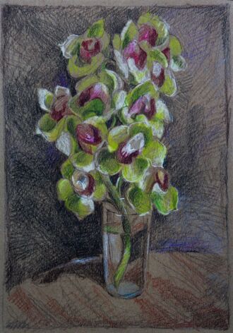 Орхидея из 2022 года.