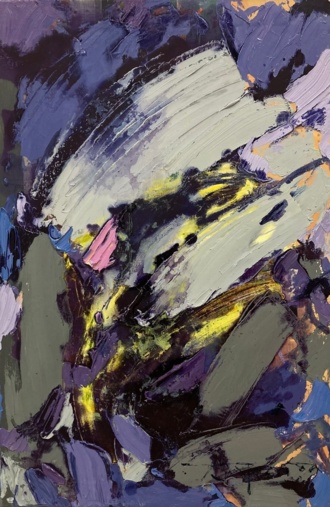 Ирисы ночью 