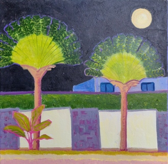 Ночь. Раваи