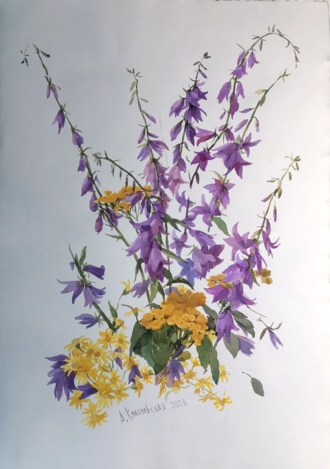 Колокольчики 