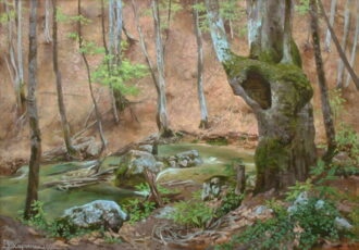 На пути к водопаду