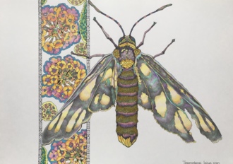 Балийский сюжет