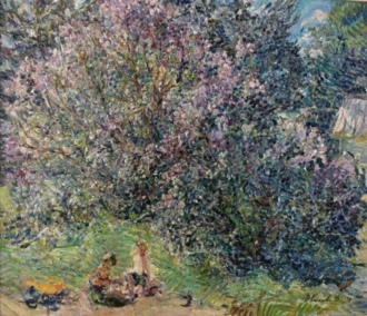 Куст сирени 