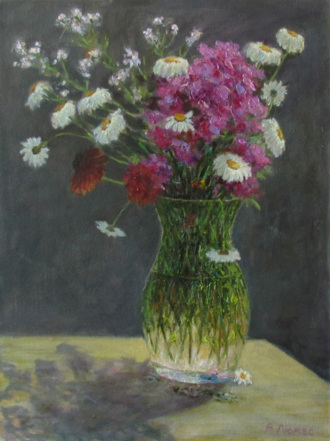 Флоксы и ромашки