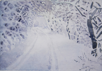 Зимним лесом