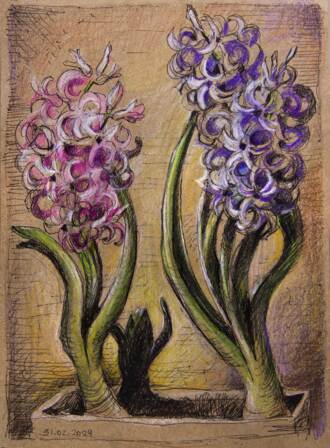 Семья гиацинтов.