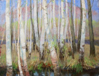 Весенние берёзки