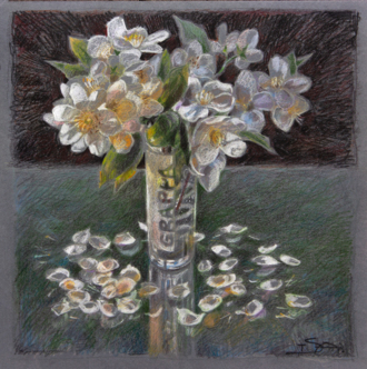 Лепестки жасмина.